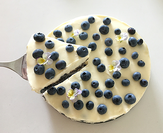 https://media.kinuskikissa.fi/uploads/kinuskit/IMG_2089.jpg