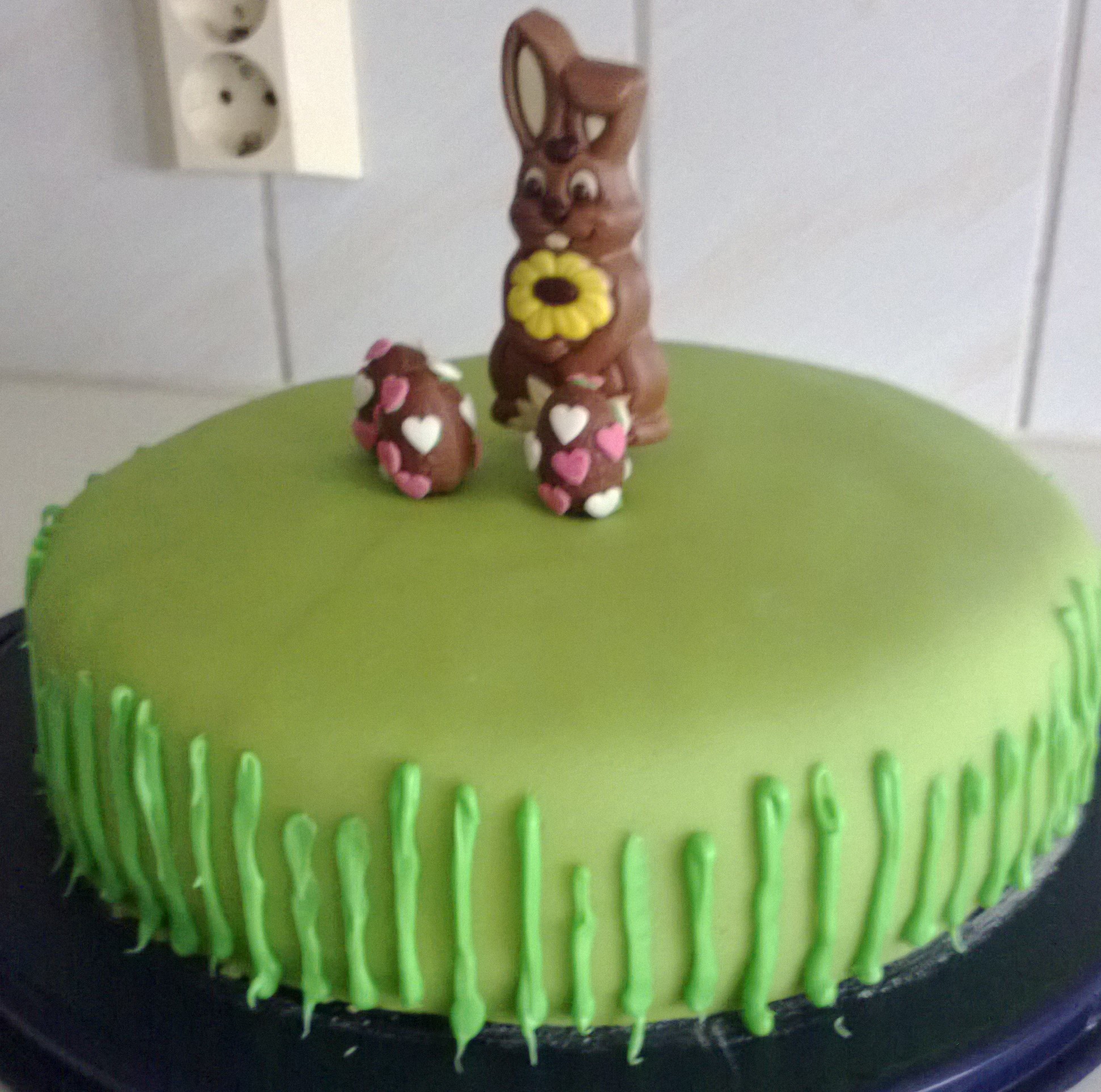 https://media.kinuskikissa.fi/uploads/kinuskit/WP_20140418_003.jpg