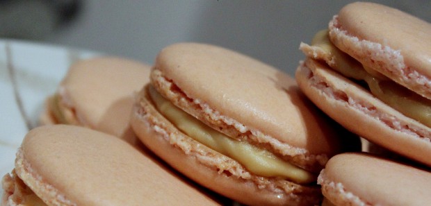 https://media.kinuskikissa.fi/uploads/kinuskit/wlewieneri/macarons.jpg