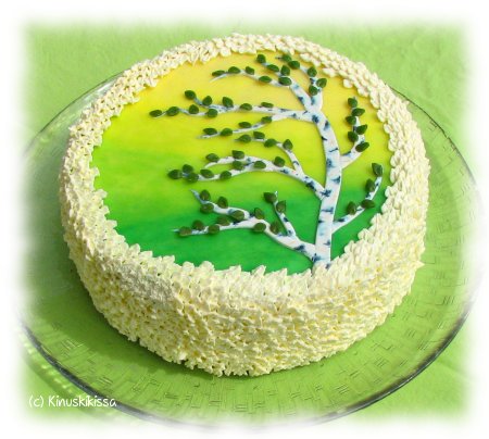 https://media.kinuskikissa.fi/uploads/sini/2008/06/koivukakku1.JPG