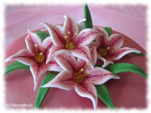 https://media.kinuskikissa.fi/uploads/sini/2008/06/liljakakku4-300x225.jpg