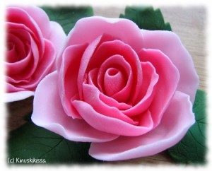https://media.kinuskikissa.fi/uploads/sini/2010/08/ruusut1-300x242.jpg