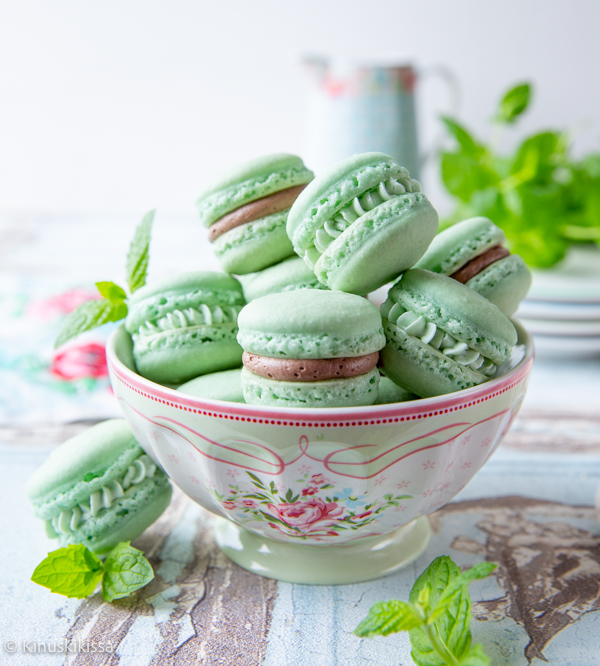 https://media.kinuskikissa.fi/uploads/sini/2022/08/minttu-macaron-3.jpg