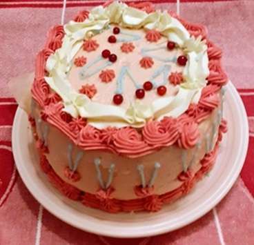 https://media.kinuskikissa.fi/uploads/sini/2026/02/WhatsApp-Image-2026-03-02-at-20.14.10.jpeg