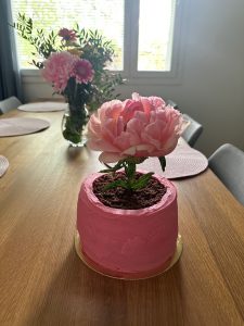 https://media.kinuskikissa.fi/uploads/sini/2026/05/IMG_9150-225x300.jpeg