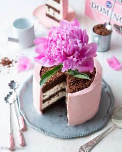 https://media.kinuskikissa.fi/uploads/sini/2026/05/domino-kukkaruukkukakku-2-240x300.jpg