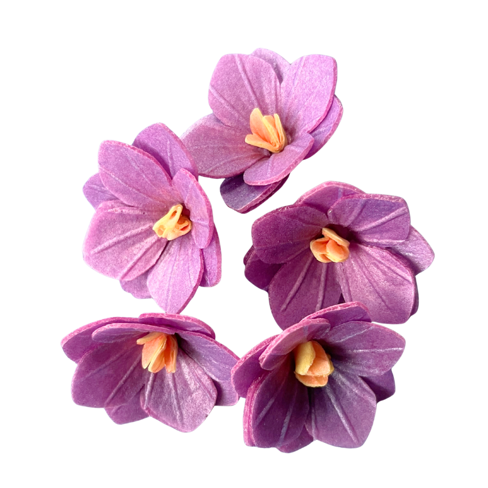 https://media.kinuskikissa.fi/uploads/sini/2026/07/con100450.png