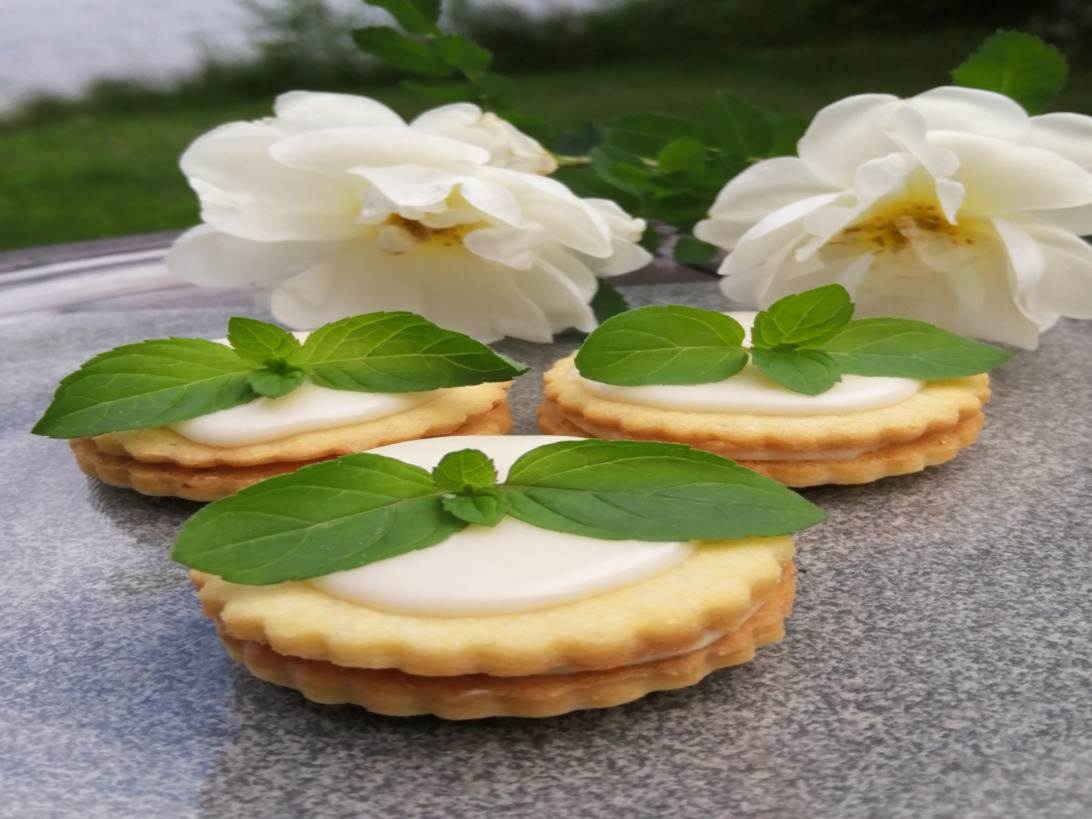 https://media.kinuskikissa.fi/uploads/sini/IMG_20200628_122038.jpg